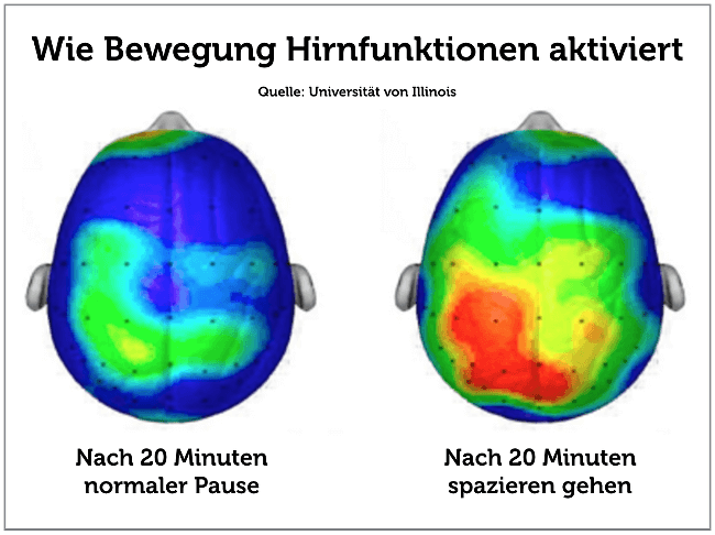 Muessiggang Bewegung Spazieren Hirnfunktion Grafik