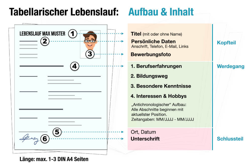 Tabellarischer Lebenslauf ab 50 Muster Aufbau Reihenfolge